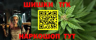 ешки Партизанск