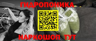 ешки Партизанск