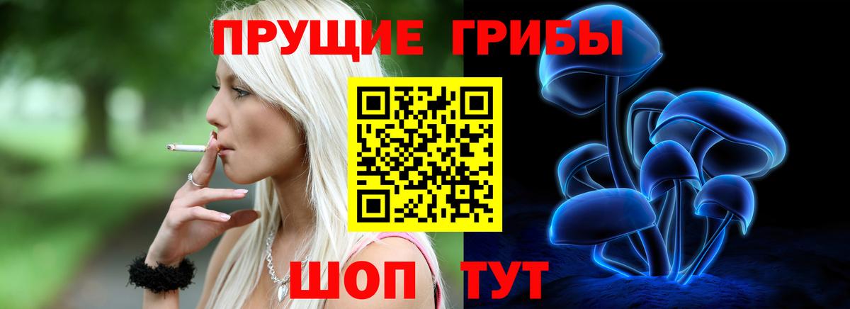 купить наркоту  Галлюциногенные грибы Psilocybine cubensis  Вход с VPN  Кондопога 